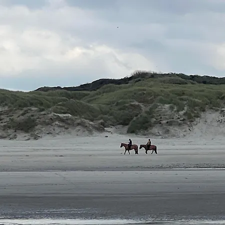 Le Paradis Mahon, Vue Mer, Elegance Et Fraichement Renove *