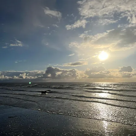 Le Paradis Mahon, Vue Mer, Elegance Et Fraichement Renove Апартаменты Фор-Маон-Плаж